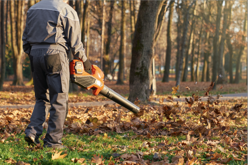 Fall Leaf Clean Up